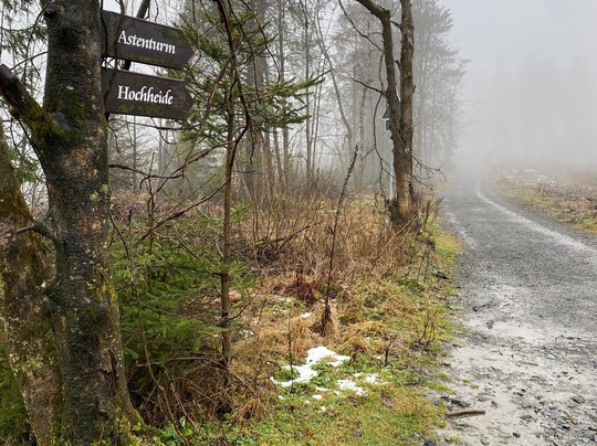 Gretel Von Birne主图