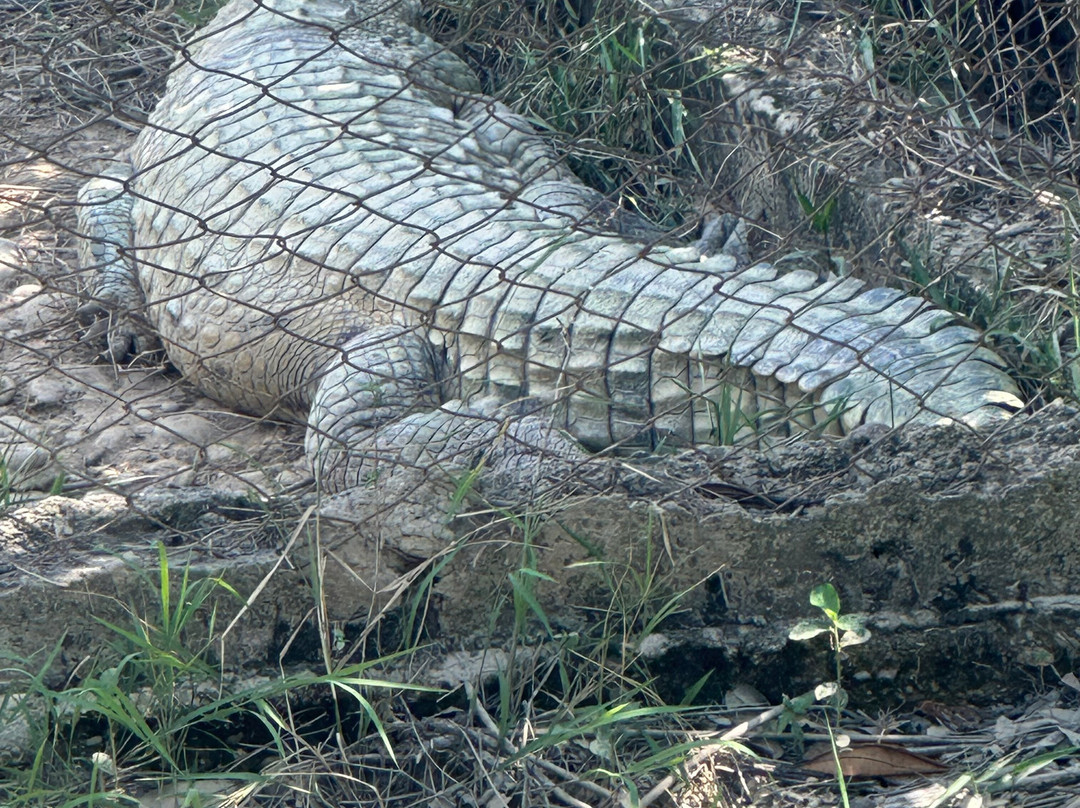 Merecure Parque Agroecologico-Puerto Lopez必去景点