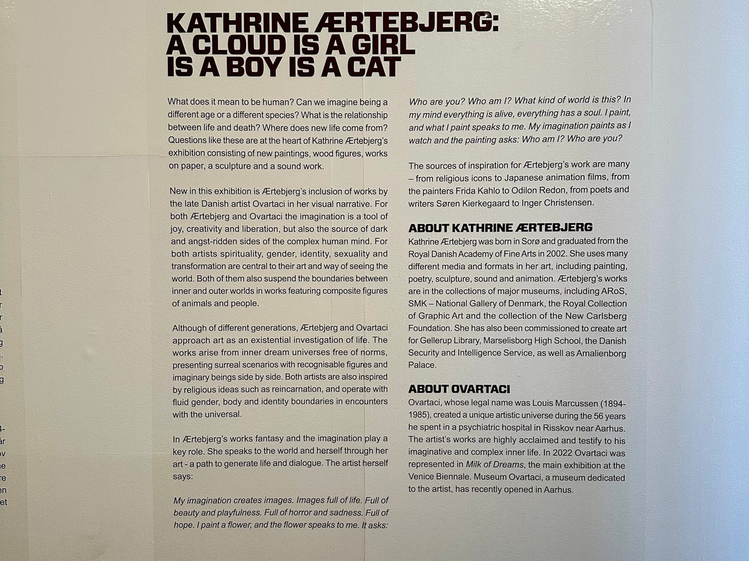 Nikolaj Kunsthal-哥本哈根必去景点