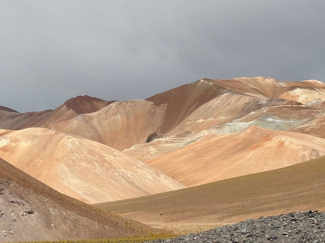 Tour Operador Puna de Atacama-Copiapo必去景点