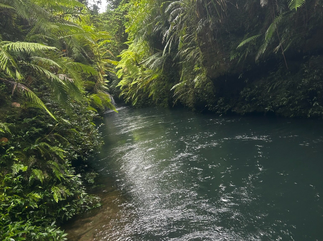 Mount Hope Waterfall-卢甘维尔必去景点
