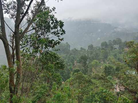 Sri Lanka Tour Experts-奴娃拉伊利雅必去景点