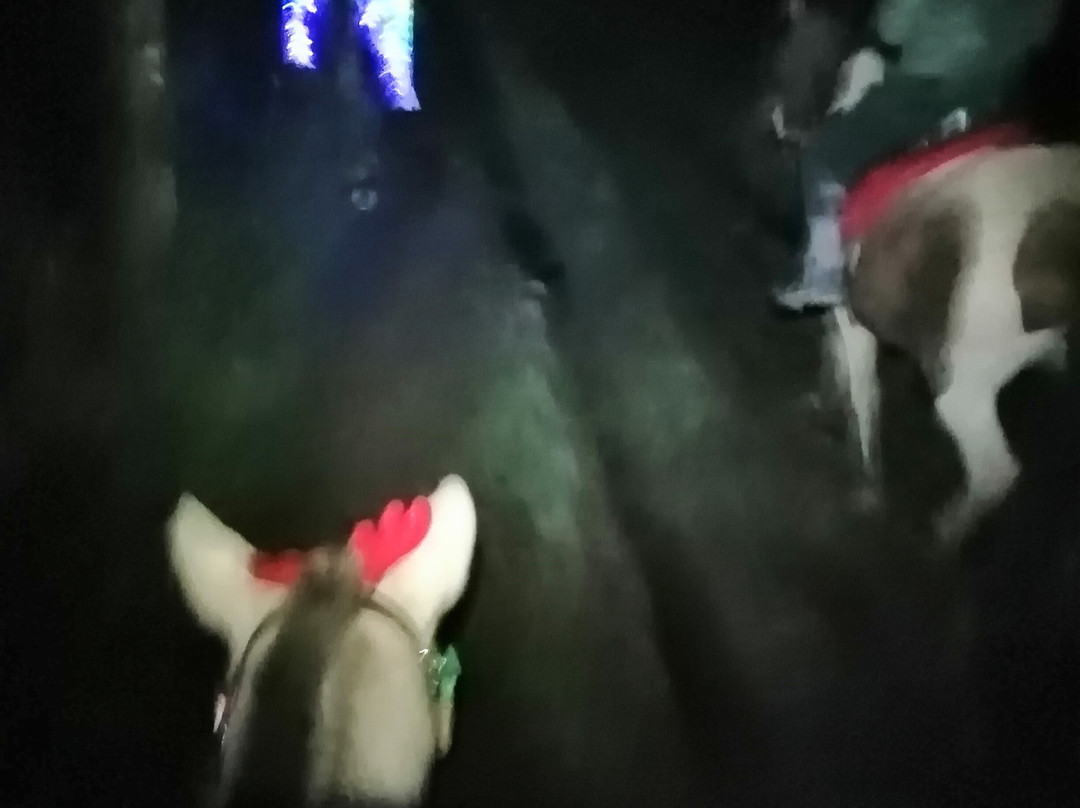 Grand Galop Rennes景点图片