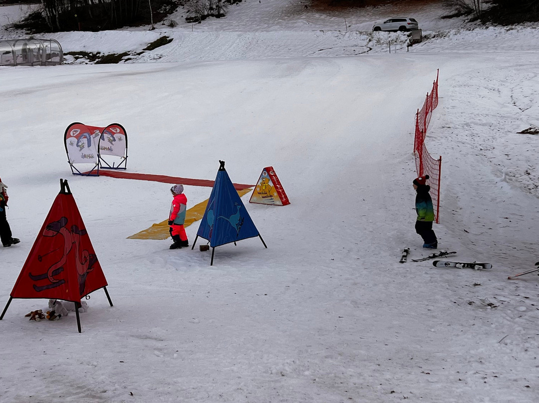 Swiss Ski School Nax Mont-noble-Nax必去景点