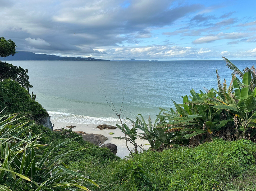 Praia do Forte-弗洛里亚诺波利斯必去景点