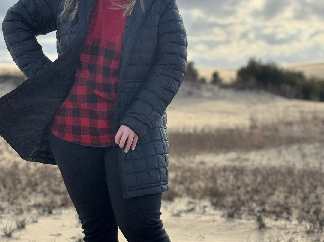 Jockey's Ridge State Park景点图片