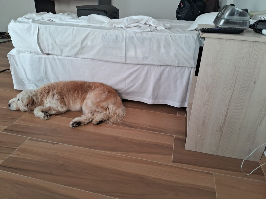 Apart Hotel Olavo Bilac主图