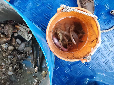 Hello China Trip Guangzhou-广州市必去景点