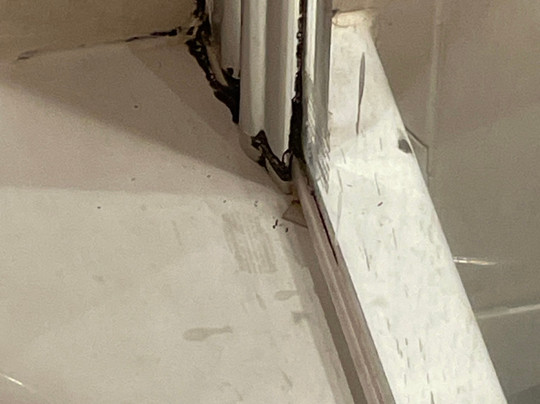 Scotlands Spa Hotel主图