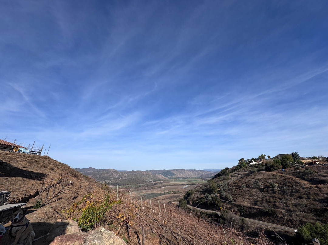 Highland Valley Vineyards景点图片