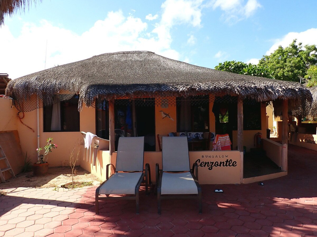 Cabo Pulmo Sports Center Bungalows主图