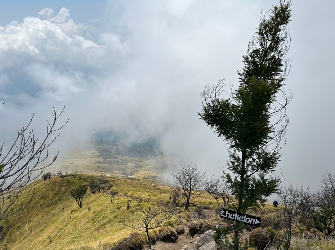 Mount Merbabu景点图片