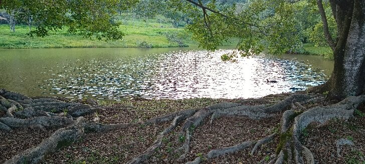 Guarany Eco Resort-官方