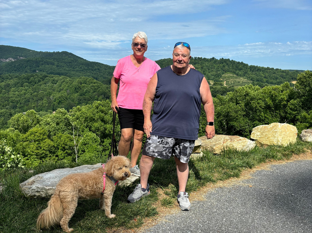 Point Lookout Vineyards景点图片
