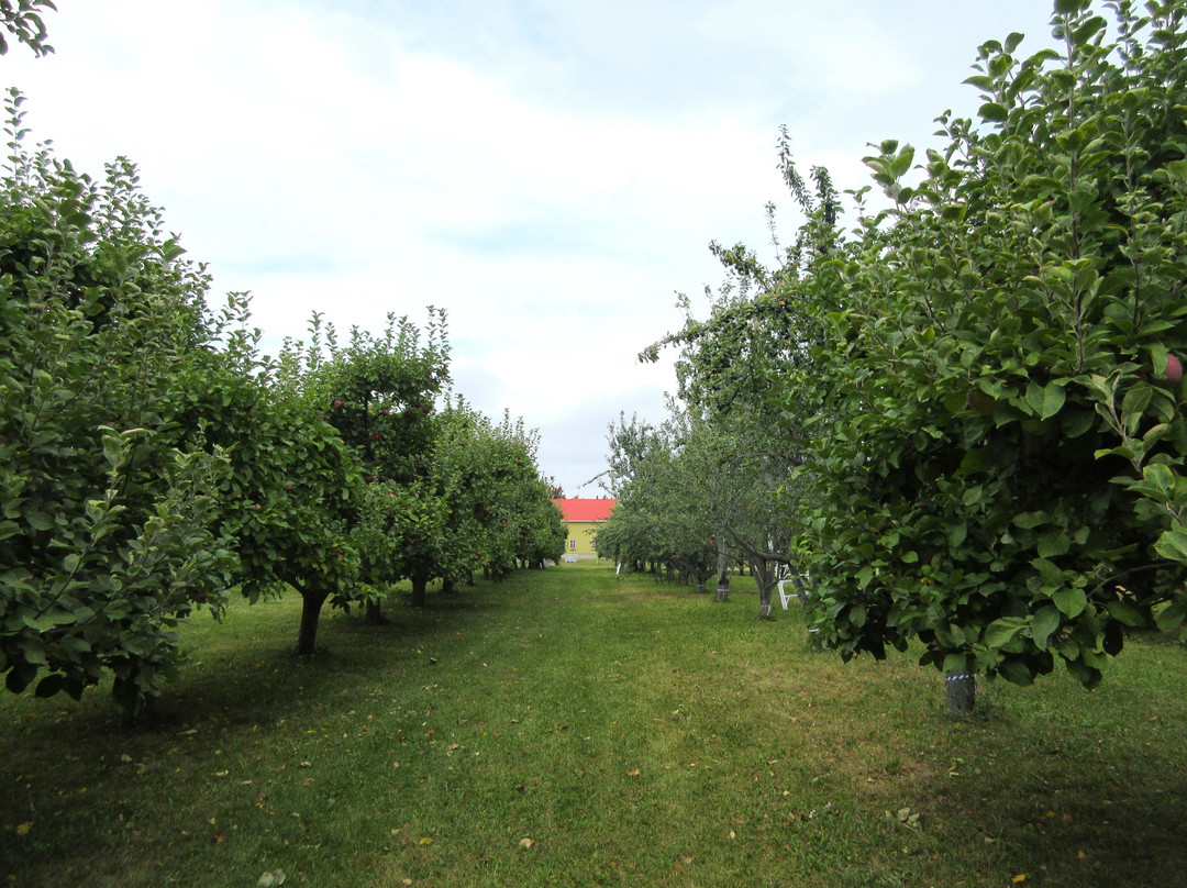 Les Vergers Du Cap-Cap-Saint-Ignace必去景点
