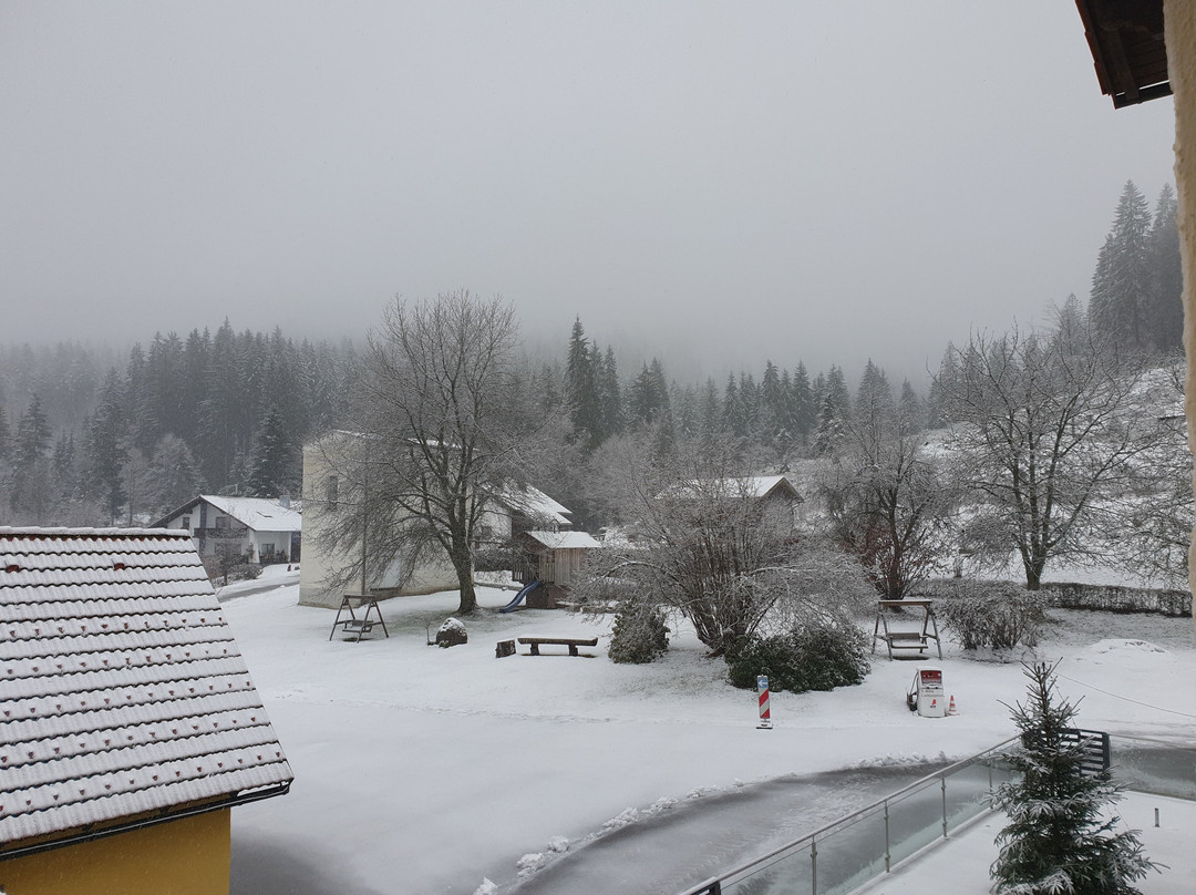 Waldhotel Seebachschleife主图