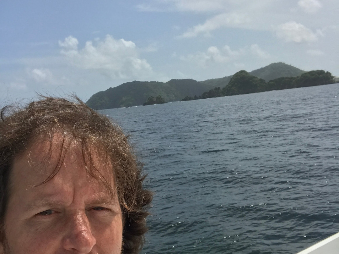 Little Tobago-Northeast Coast必去景点