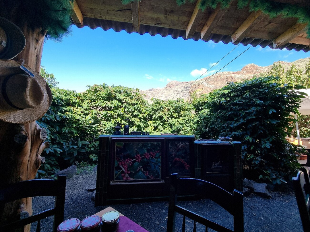 Cafe Platinium景点图片