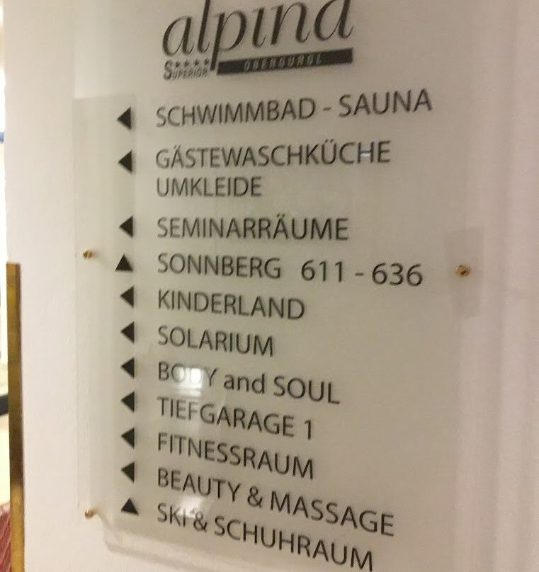 Hotel Alpina deluxe主图