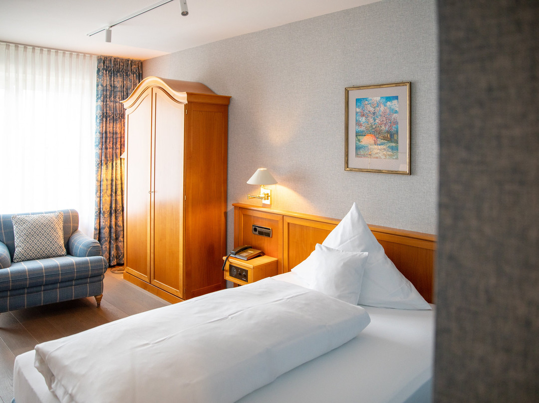 Hotel Krone主图