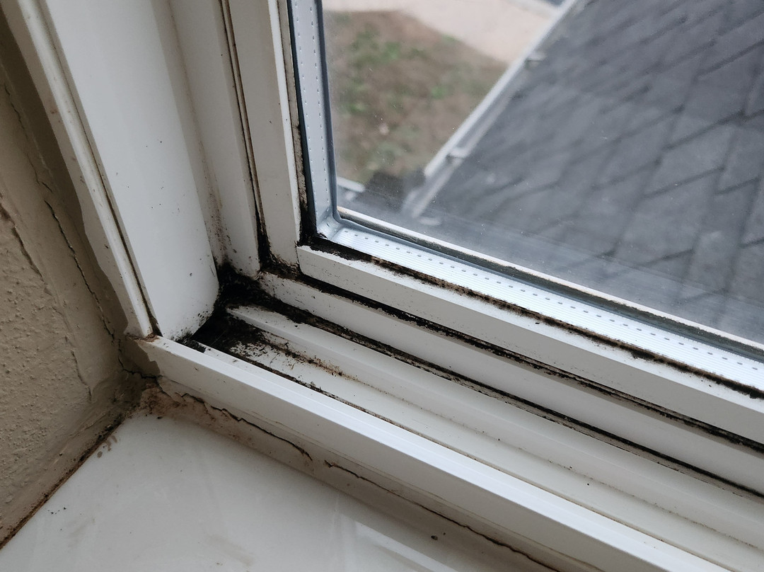 佩利麦克罗特客栈&套房酒店主图