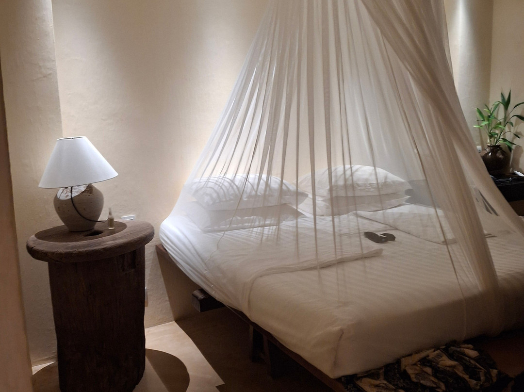 科奈邦查特渡假酒店主图