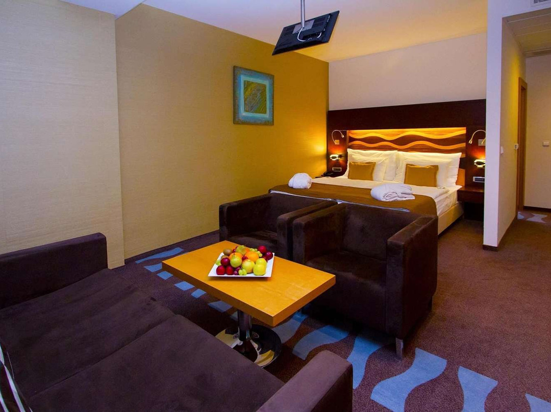 布拉迪斯拉发酒店住宿-Hotel Danubia Gate Bratislava