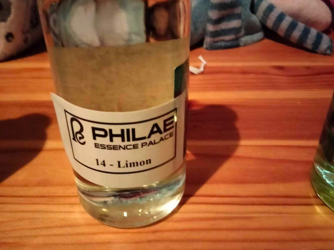 Abu Simbel Perfume Palace-Aswan 1必去景点