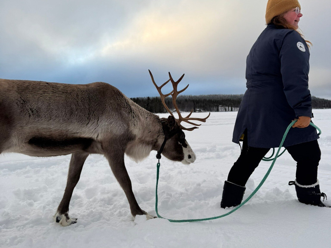 Local Lifestyle Rovaniemi-罗瓦涅米必去景点