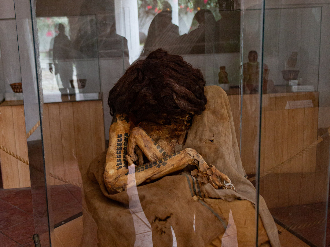 Museo Lineas de Nasca Centro Maria Reiche-纳斯卡必去景点