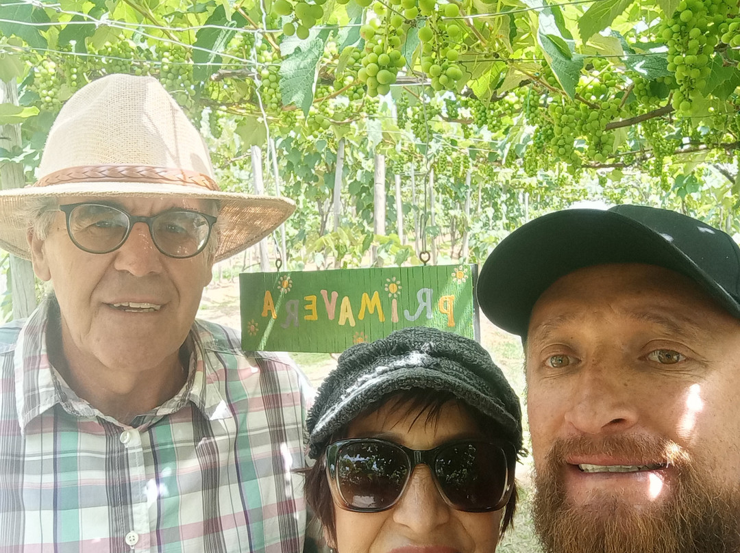 Viñedo Abarán-Sutamarchan必去景点