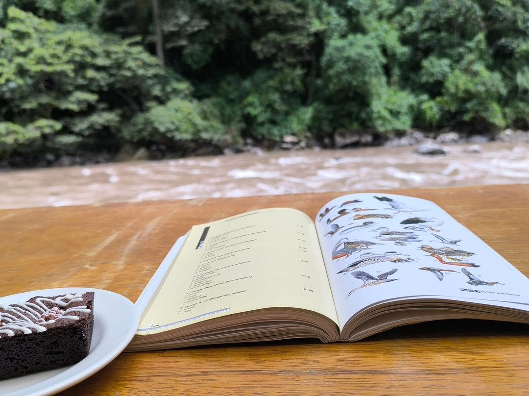 Mariposario De Machupicchu-温泉镇必去景点