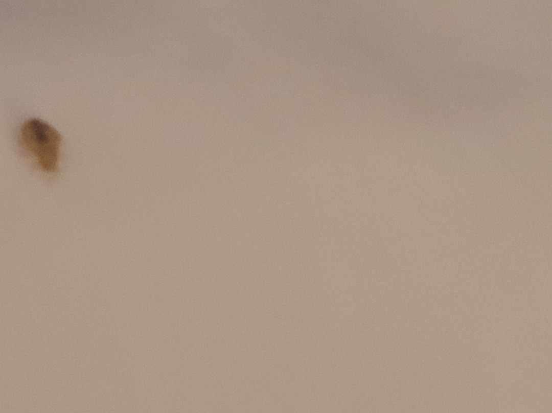 Super 8 by Wyndham St. Ignace主图