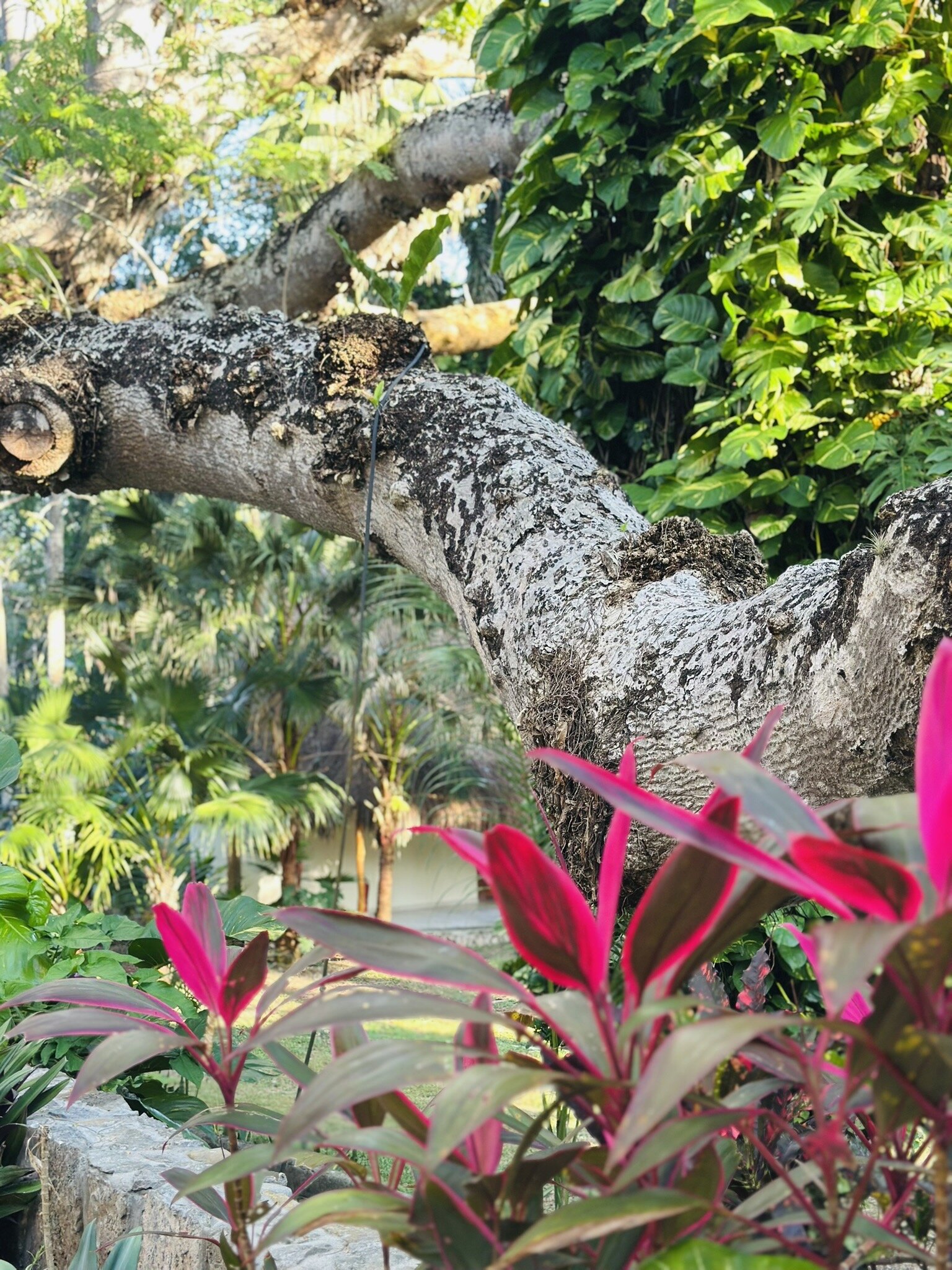 Mayaland Hotel & Bungalows-官方