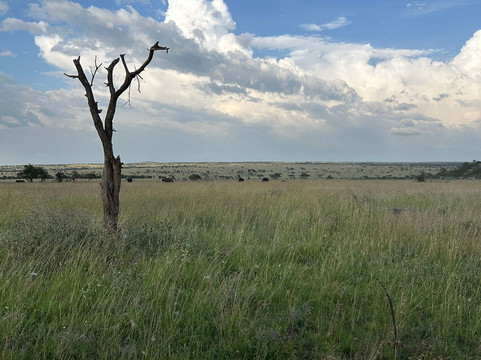 Glitzy Safaris-阿鲁沙必去景点