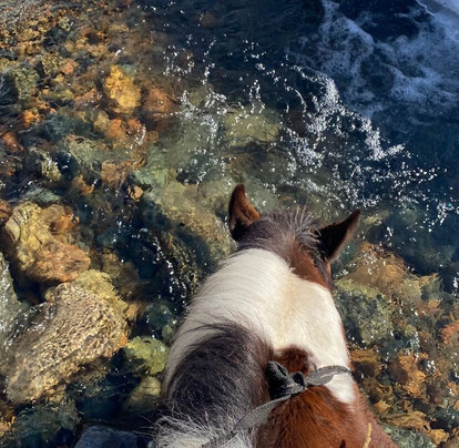 Apple Hostel Tours and Activities-比斯凯克必去景点