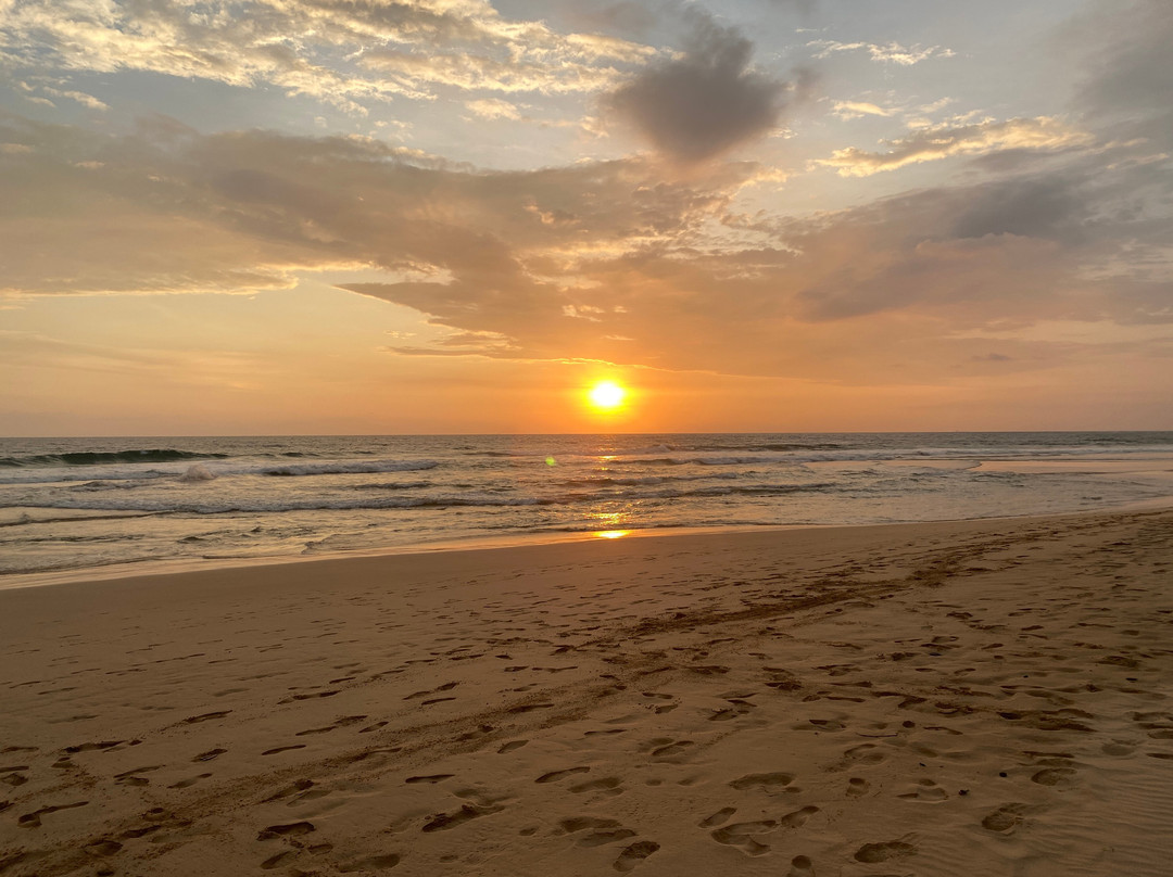 Sri Lanka Best of Tours-尼甘布必去景点