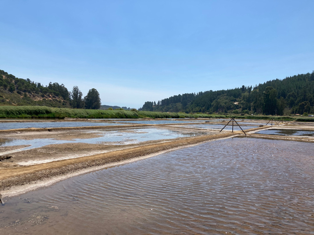 Salinas de Cahuil-皮钦勒姆必去景点