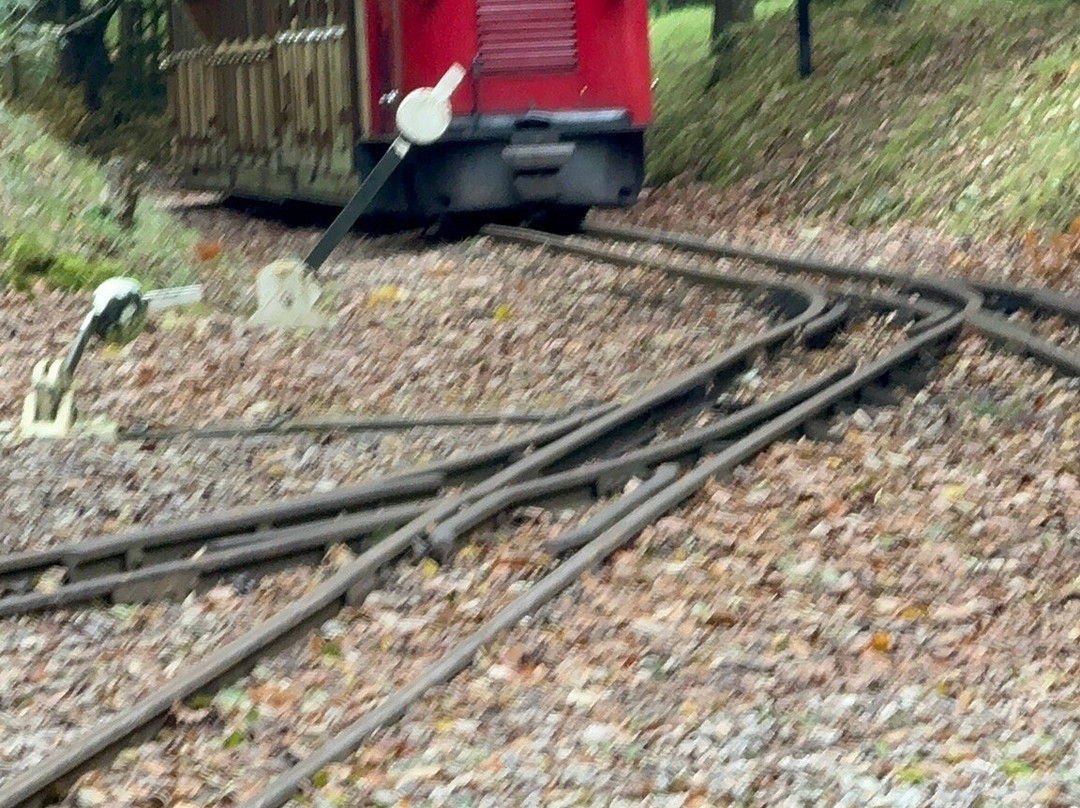 Perrygrove Railway Adventure-Coleford必去景点