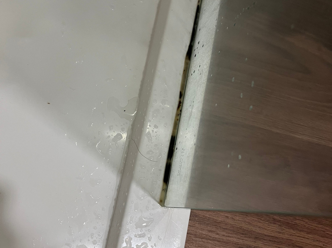 Enotel Santo Da Serra主图