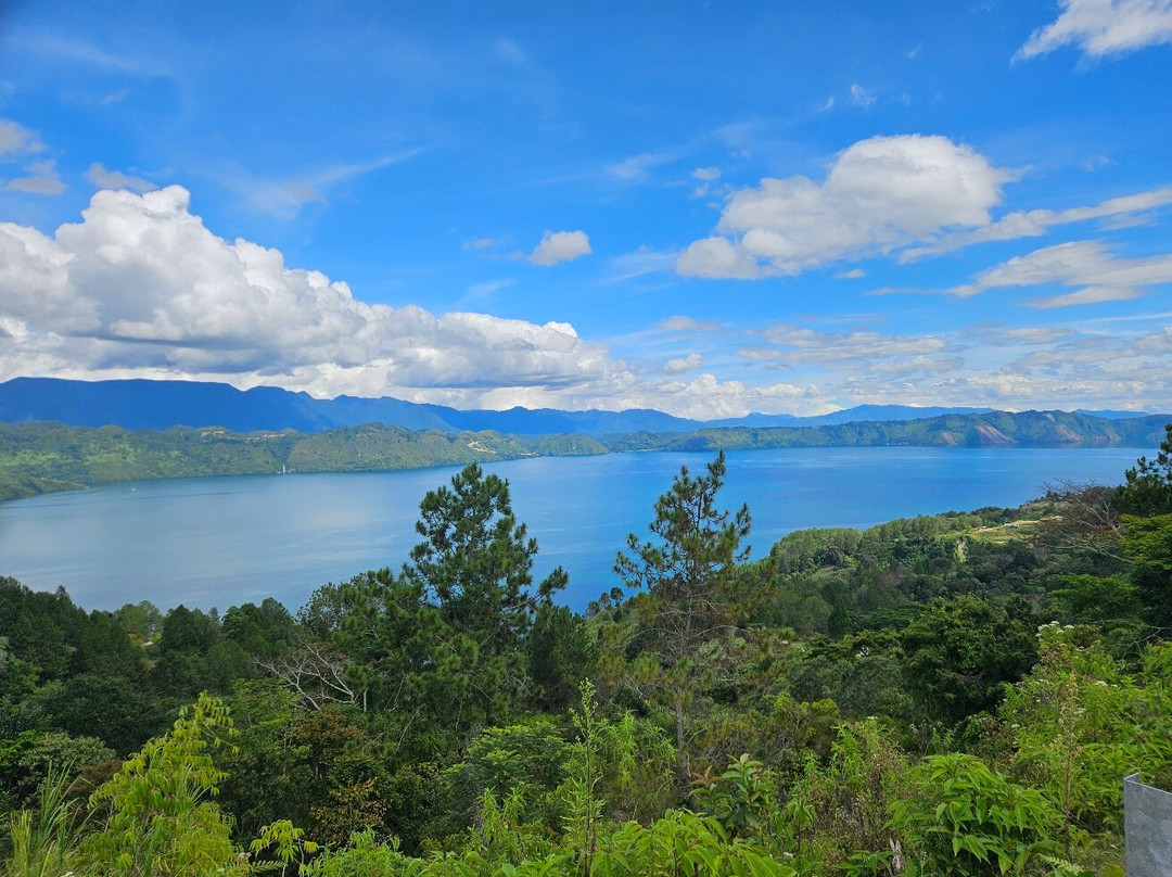 Junglebooked Adventure-棉兰必去景点