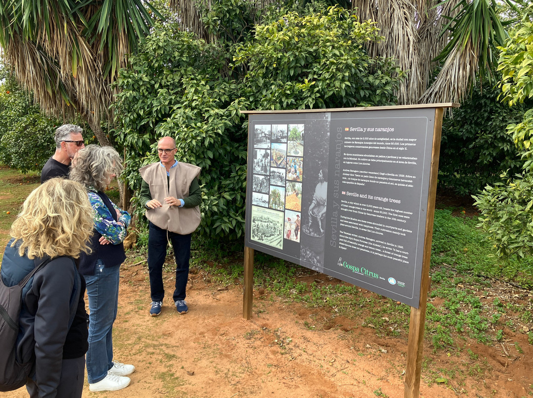 Gospa Citrus S.L.-Mairena del Alcor必去景点