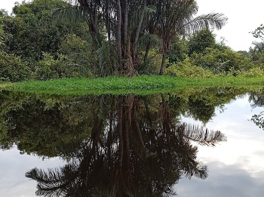 Rppn Canto Do Obrieni-Caseara必去景点