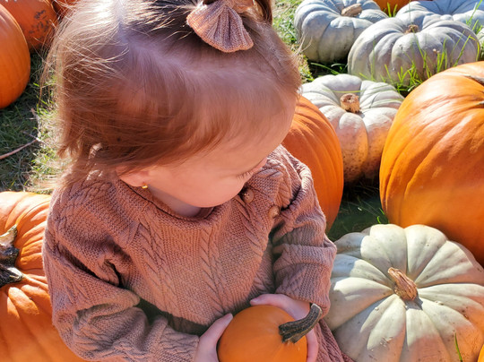 Pickering Hill Farms-Avon必去景点