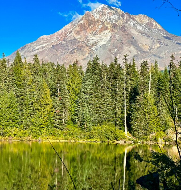 Mount Hood National Forest-克拉克默斯县必去景点