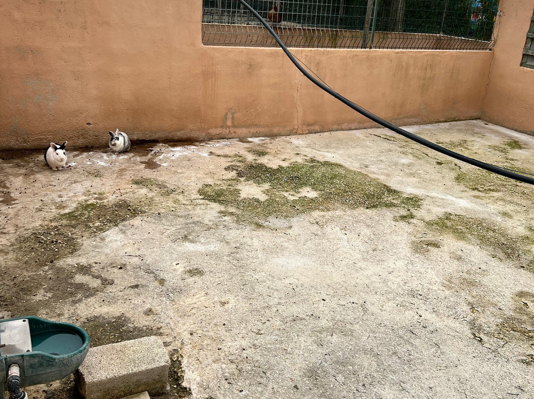 Ferme Animaliere d'Auriol景点图片