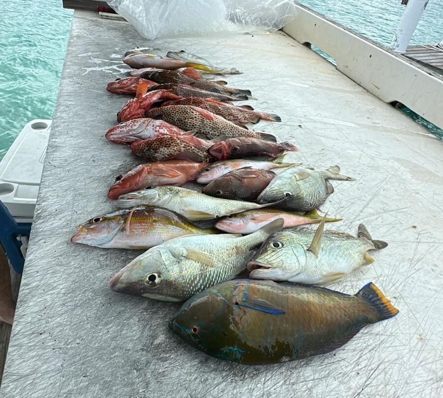 Paulie's Fishing Charters & Adventures景点图片