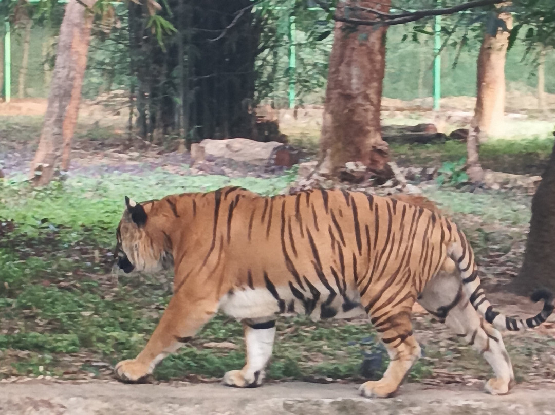 Birsa Zoological Park景点图片