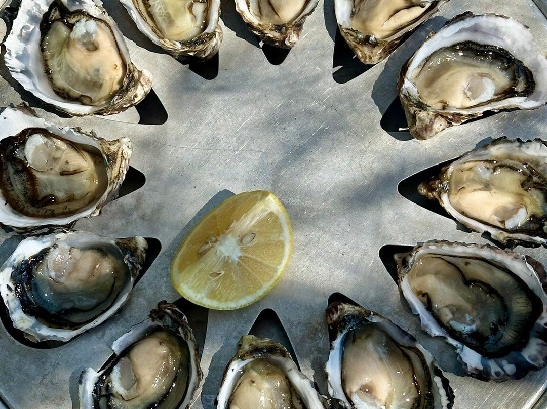 观菲欣纳海洋农场-科尔斯湾必去景点