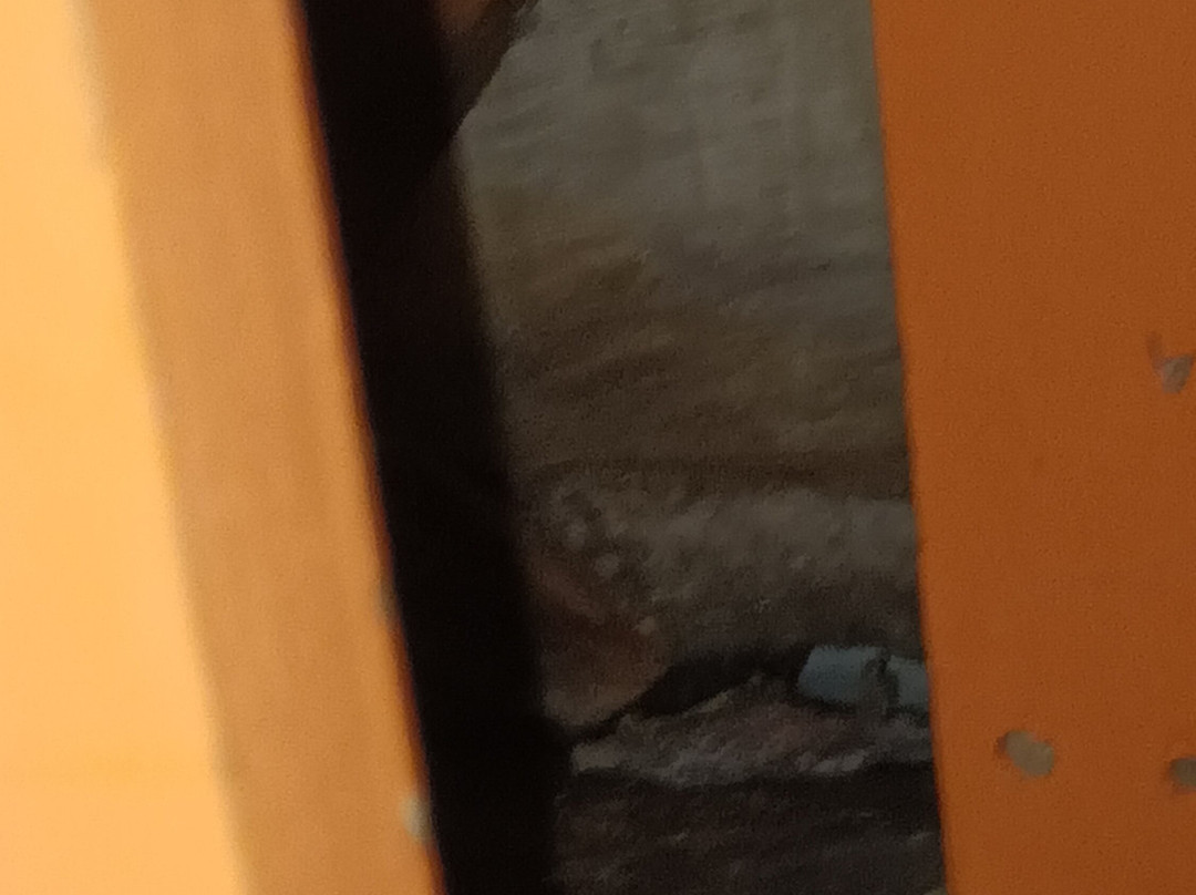 波萨达·曼瑞波莎酒店主图